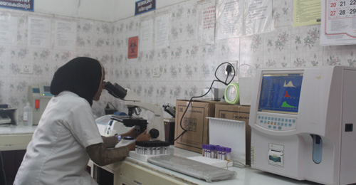 lab