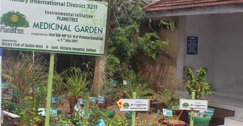 MEDICINAL GARDEN